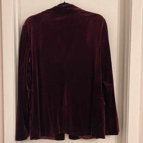 Burgundy velvet blazer - Picture 3 of 5